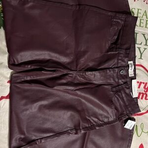 Edgely faux leather pants